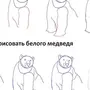 Как Легко Нарисовать Медведя