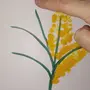 Как нарисовать мимозу