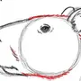 Как нарисовать капибару