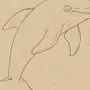 Рисунок дельфина карандашом для срисовки