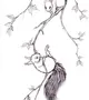 Белка На Дереве Рисунок