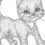 Рисунки котиков для срисовки легкие и красивые