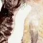 Картинки котиков целуется нарисованных