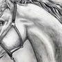 Картинки лошадей для срисовки