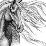 Картинки Лошадей Для Срисовки