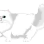 Белый кот рисунок
