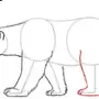 Как Нарисовать Белого Медведя