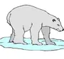 Как нарисовать белого медведя