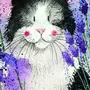 Кот с цветком рисунок