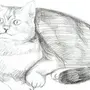 Нарисовать котика