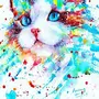 Кот рисунок цветной