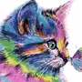 Кот Рисунок Цветной