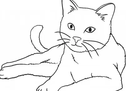 Кот черно белый рисунок