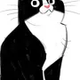 Кот черно белый рисунок