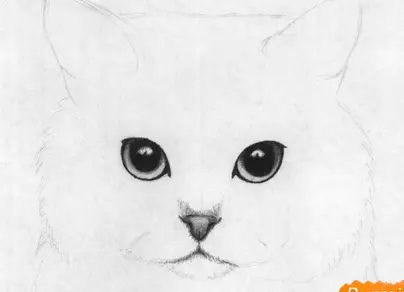 Как нарисовать ребенку легко котенка