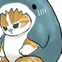 Котик в костюме акулы рисунок
