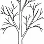 Дерево без листьев рисунок