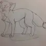 Коты воители для срисовки карандашом