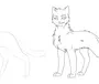 Как нарисовать кота воителя поэтапно