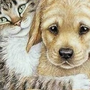 Кошка и собака рисунок