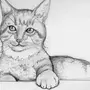 Рисунок кошки карандашом для детей