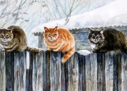 Кот на заборе рисунок