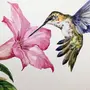 Красивая птица рисунок