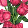 Букет тюльпанов для срисовки