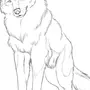 Красный Волк Рисунок