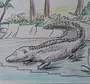 Как Нарисовать Крокодила Ребенку