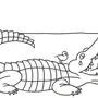 Как нарисовать крокодила ребенку