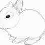 Рисунок кролика карандашом