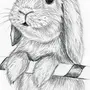 Рисунок кролика карандашом