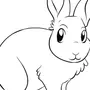 Кролик Рисунок Для Детей
