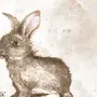 Милый Кролик Рисунок