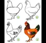 Как нарисовать курицу для детей