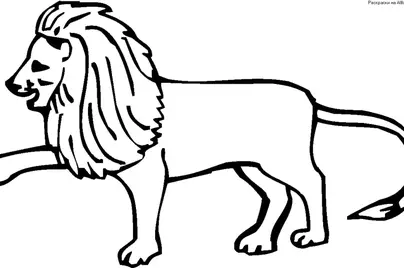 Рисунок к рассказу лев и собачка