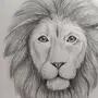 Рисунок льва 1 класс
