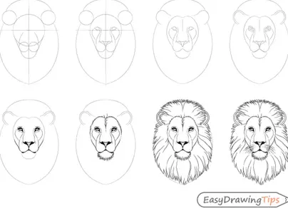 Как нарисовать льва для детей