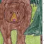 Легкий Рисунок Медведя