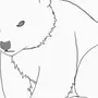 Легкий рисунок медведя