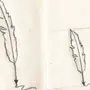 Как Нарисовать Перо