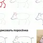 Как Нарисовать Свинку