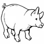Как нарисовать свинку