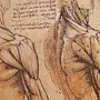 Леонардо Да Винчи Рисунки Анатомия