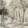 Лес рисунок карандашом