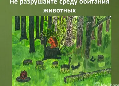 Рисунок природное сообщество лес