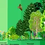 Рисунок природное сообщество лес