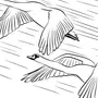 Летящий Лебедь Рисунок