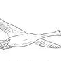 Летящий лебедь рисунок